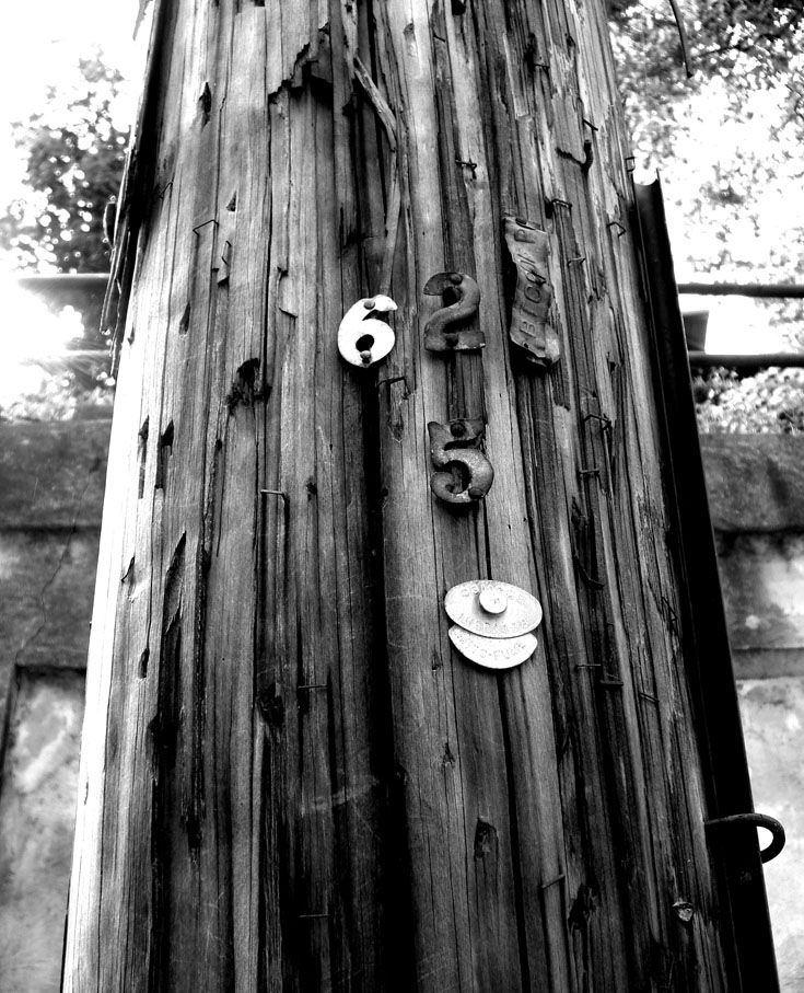 Photography by StarsView for DesignCrowd (Community Contests) | Design #9008496