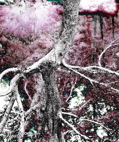 Photography by klstover