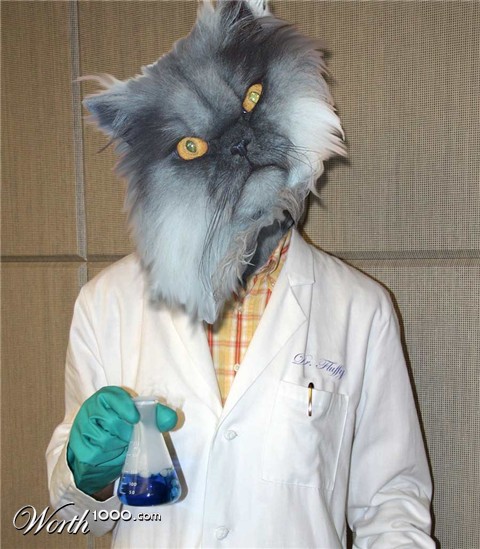 Photoshop Design by dungbeetle