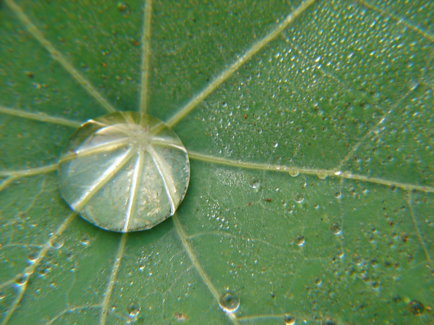 Photography by LianeRoux for DesignCrowd (Community Contests) | Design #9001442