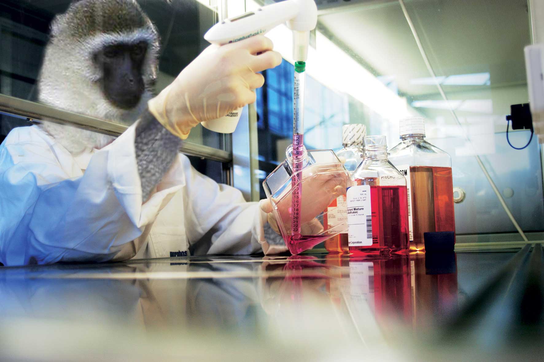 Photoshop Design by targetads for DesignCrowd (Community Contests) | Design #9003832