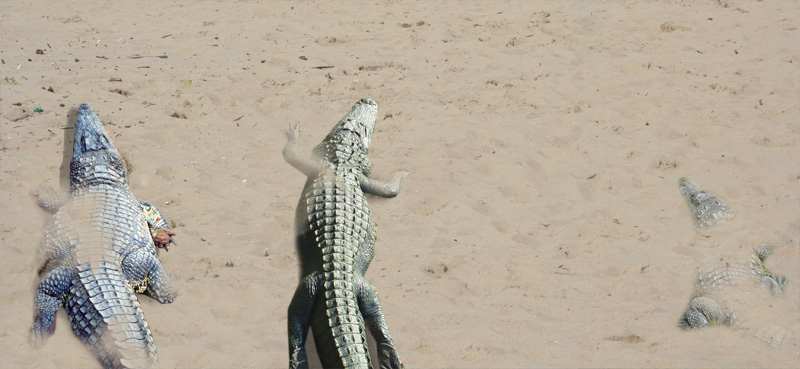 Photoshop Design by zsolesz92 for DesignCrowd (Community Contests) | Design #9003887