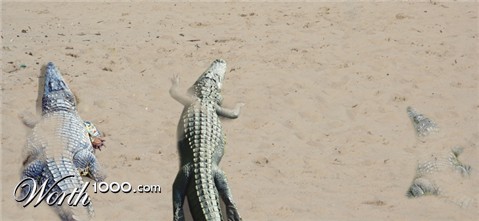 Photoshop Design by zsolesz92