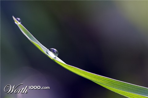 Photography by bluebunny