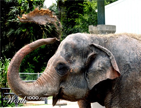 Photography by Viciousvixievenus