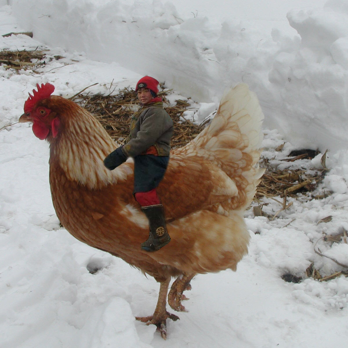 Photoshop-Design von crazyridersammy für DesignCrowd (Community Contests) | Design #9003899