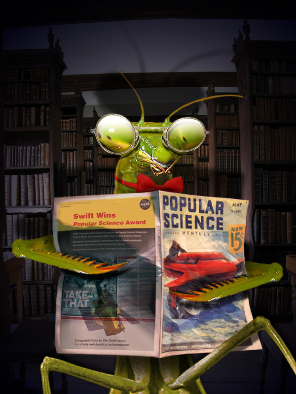 Photoshop Design by mzpresto for DesignCrowd (Community Contests) | Design #9003824