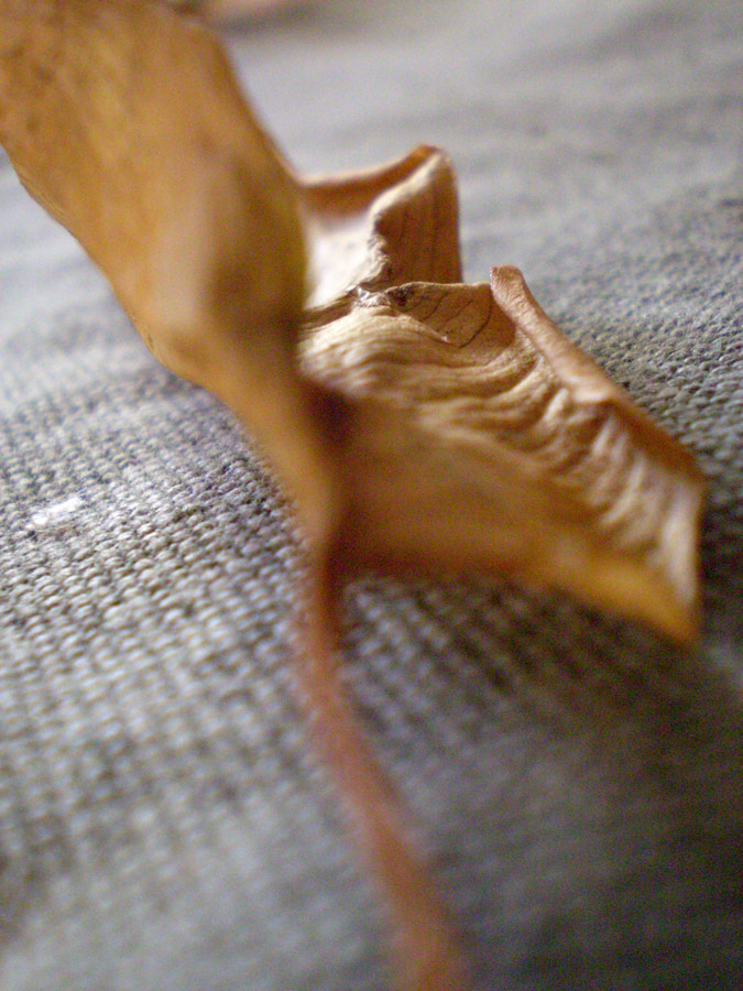 Fotografie von Succexxyy für DesignCrowd (Community Contests) | Design #9001467