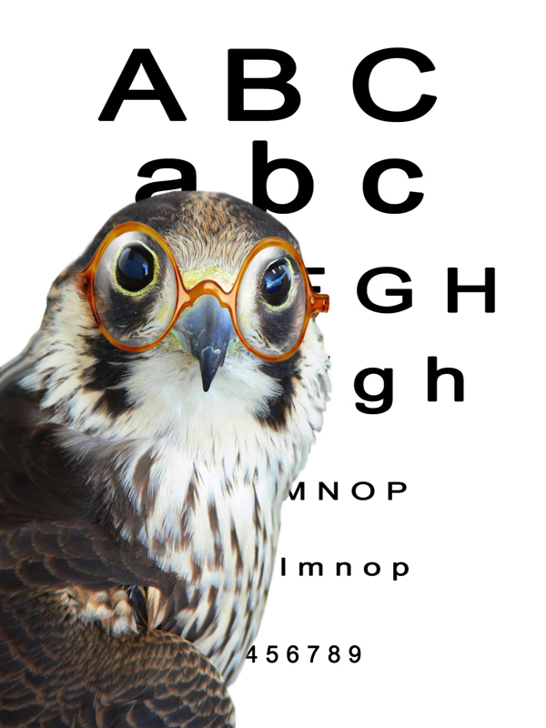 Diseño de Photoshop por alicina para DesignCrowd (Community Contests) | Diseño #9003805