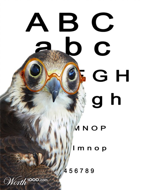 Photoshop Design by alicina