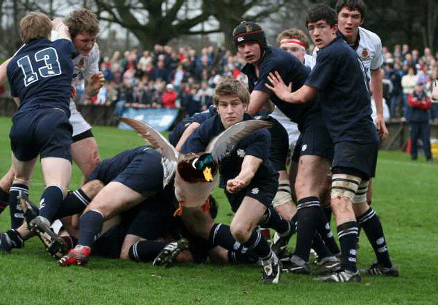 Photoshop Design by EvanescenceFanSJ for DesignCrowd (Community Contests) | Design #9003907