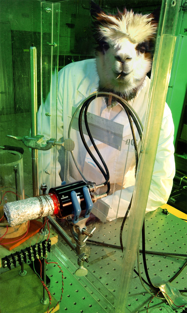 Photoshop Design by eahullqu for DesignCrowd (Community Contests) | Design #9003854