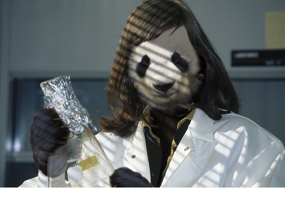 Photoshop Design by TahiaDesign for DesignCrowd (Community Contests) | Design #9003849