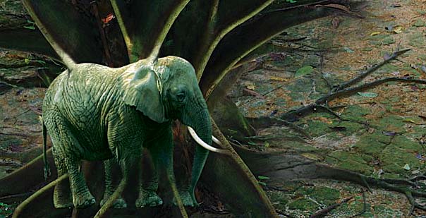 Diseño de Photoshop por tanyadv para DesignCrowd (Community Contests) | Diseño #9004910