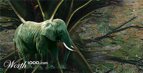 Photoshop Design by tanyadv