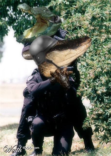 Photoshop Design by MADXTAR