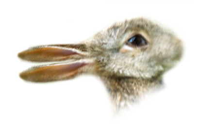 Photoshop Design by Fissunix for DesignCrowd (Community Contests) | Design #9004904