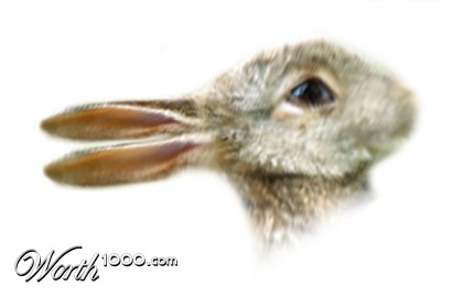 Photoshop Design by Fissunix