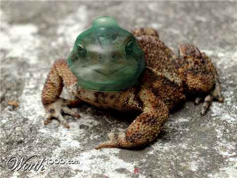 Photoshop Design by princeok