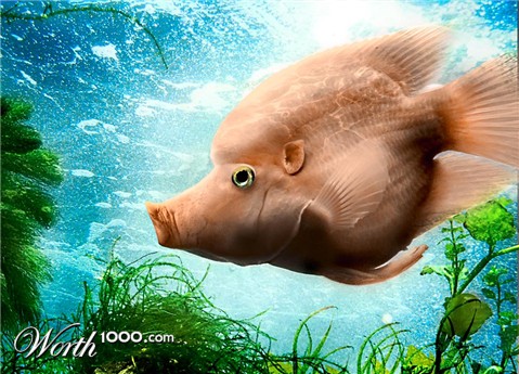 Photoshop Design by Gavh