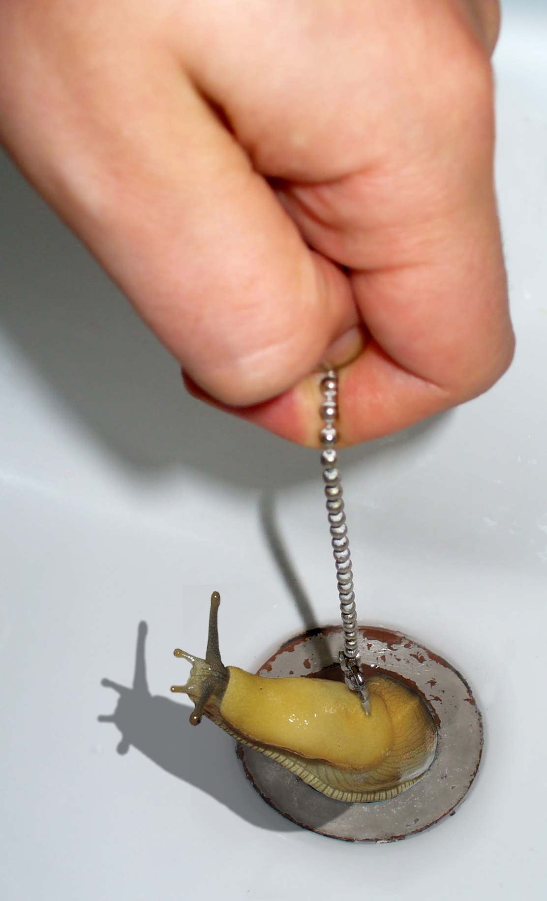 Photoshop Design by mzpresto for DesignCrowd (Community Contests) | Design #9004015