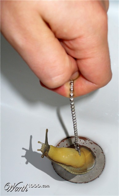 Photoshop Design by mzpresto