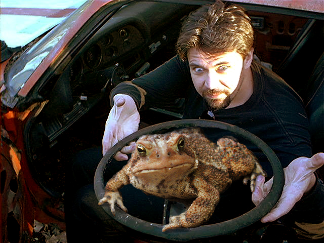 Photoshop Design by Vortex for DesignCrowd (Community Contests) | Design #9003949