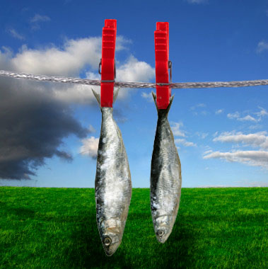 Photoshop-Design von jenjoe für DesignCrowd (Community Contests) | Design #9003985