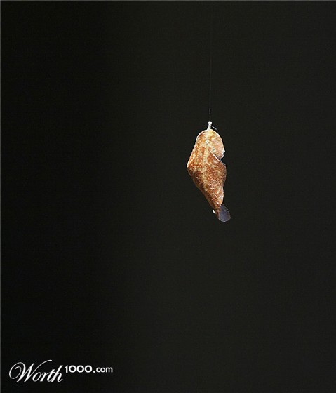 Photography by damas100