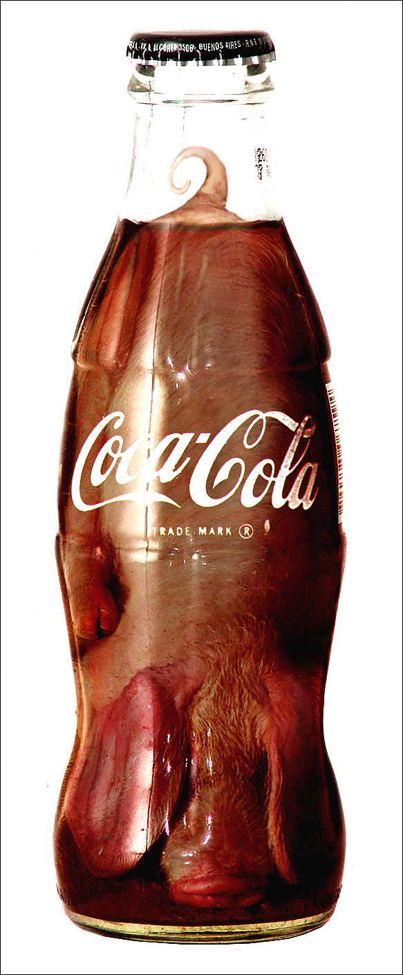 Photoshop Design by Koosricardo for DesignCrowd (Community Contests) | Design #9003967