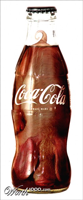 Photoshop Design by Koosricardo