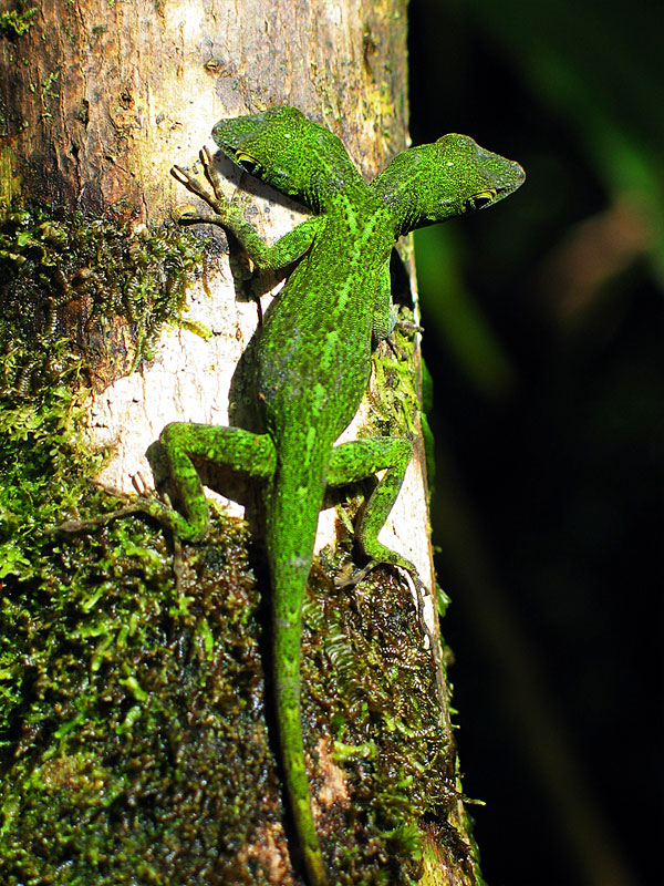 Photography by npjohnson for DesignCrowd (Community Contests) | Design #9005518