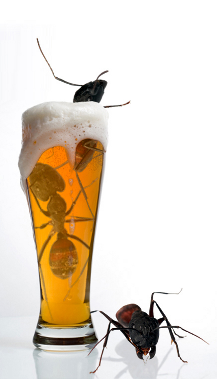 Photoshop Design by a17rwk for DesignCrowd (Community Contests) | Design #9003963