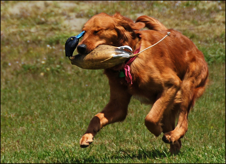 Photography by squaredd for DesignCrowd (Community Contests) | Design #9001760