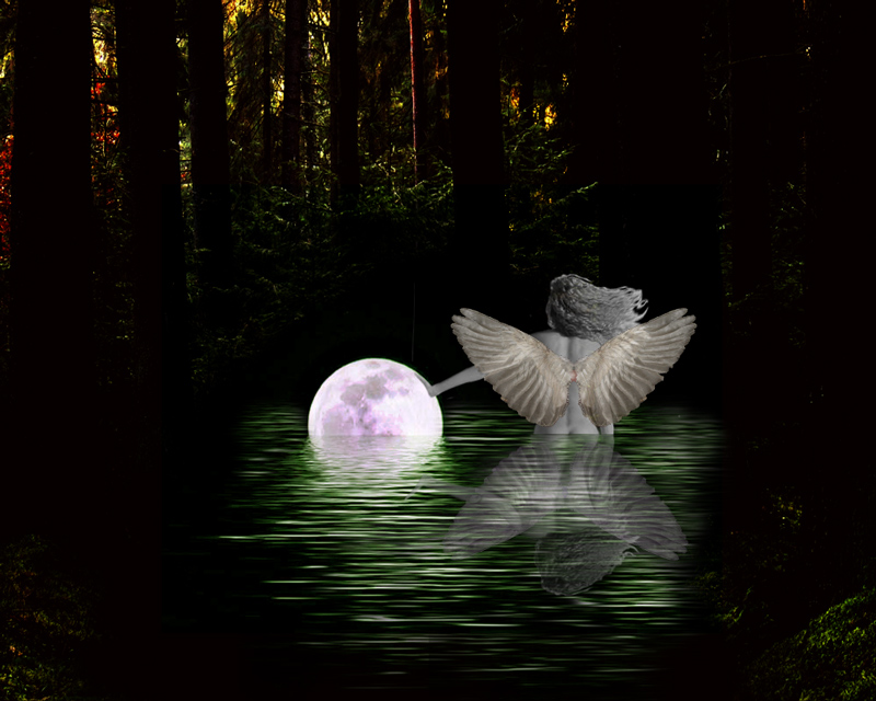 Photoshop-Design von alicina für DesignCrowd (Community Contests) | Design #9007680