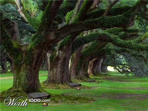 Photoshop Design by wyvernwitch