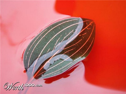 Photography by Nguuju