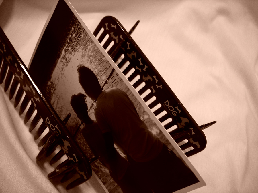 Fotografía por frogzygirl para DesignCrowd (Community Contests) | Diseño #9004739