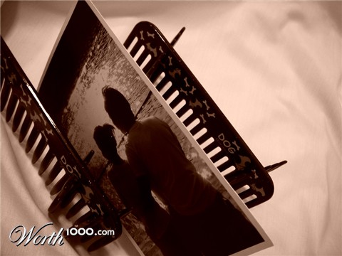 Photography by frogzygirl