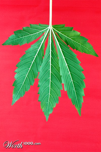 Photography by sproglet