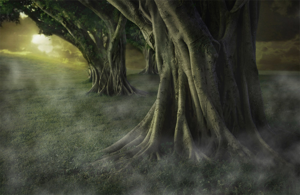 Photoshop Design by piccavet for DesignCrowd (Community Contests) | Design #9007708