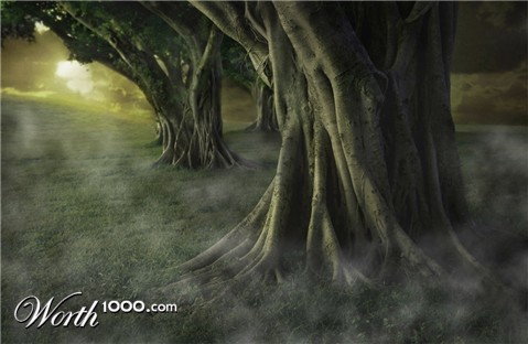 Photoshop Design by piccavet