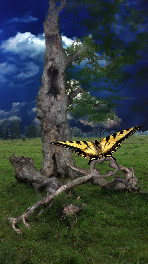 Photoshop Design by stringcheese for DesignCrowd (Community Contests) | Design #9007772