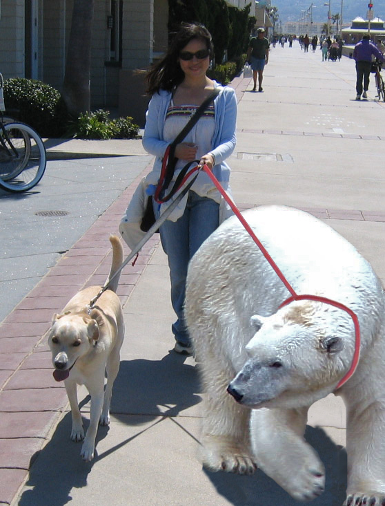 Photoshop Design by mattbyng for DesignCrowd (Community Contests) | Design #9007733