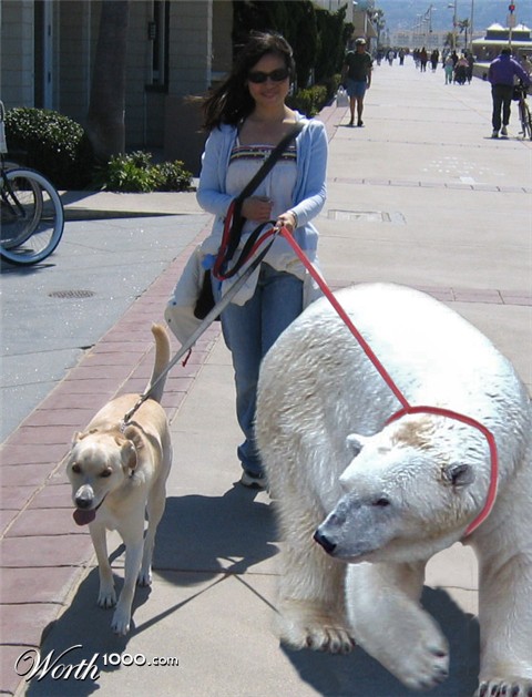 Photoshop Design by mattbyng