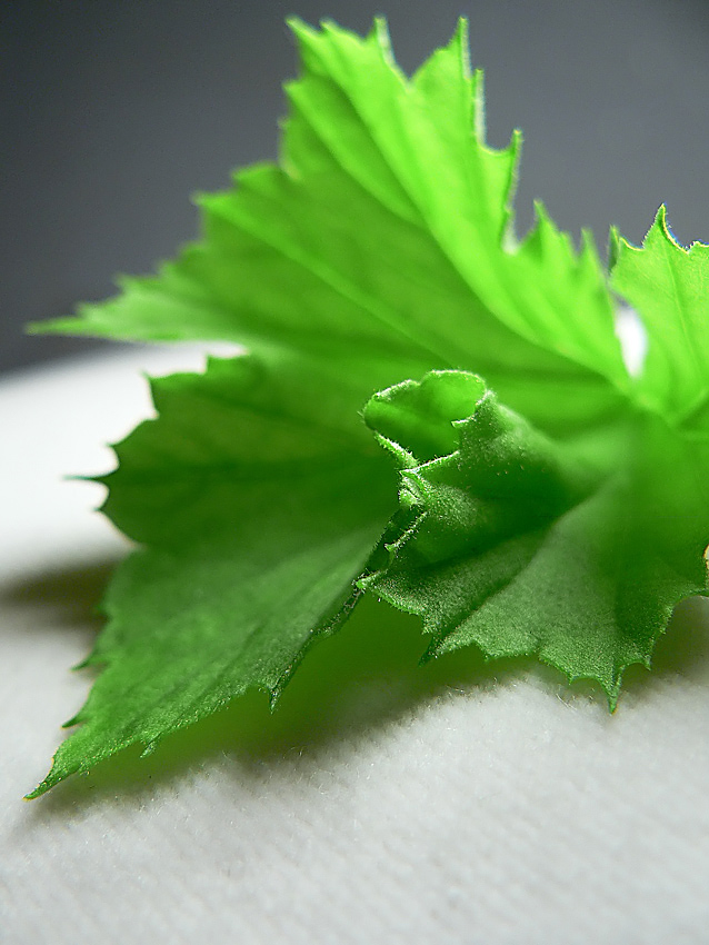 Fotografía por jandreu para DesignCrowd (Community Contests) | Diseño #9001528