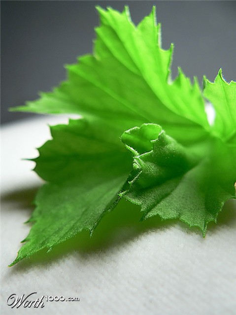 Photography by jandreu