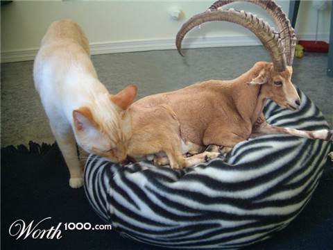 Photoshop Design by Fishwife