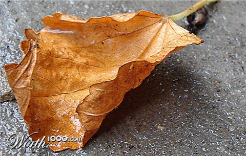 Photography by StarsView