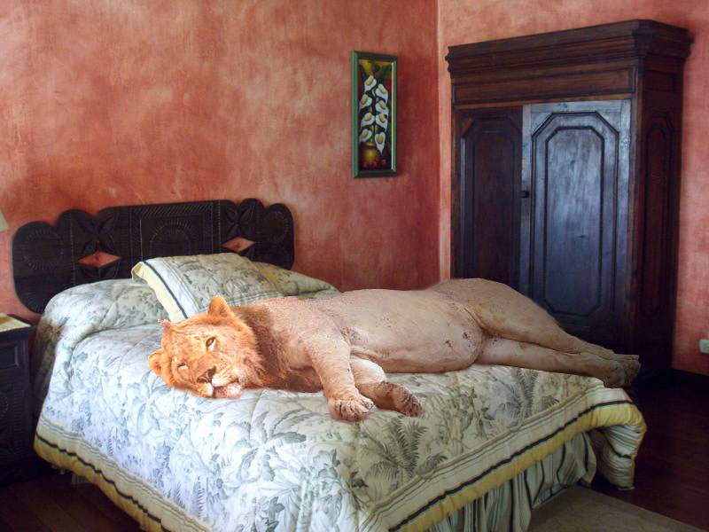 Design Photoshop par MasterDice pour DesignCrowd (Community Contests) | Design #9007746